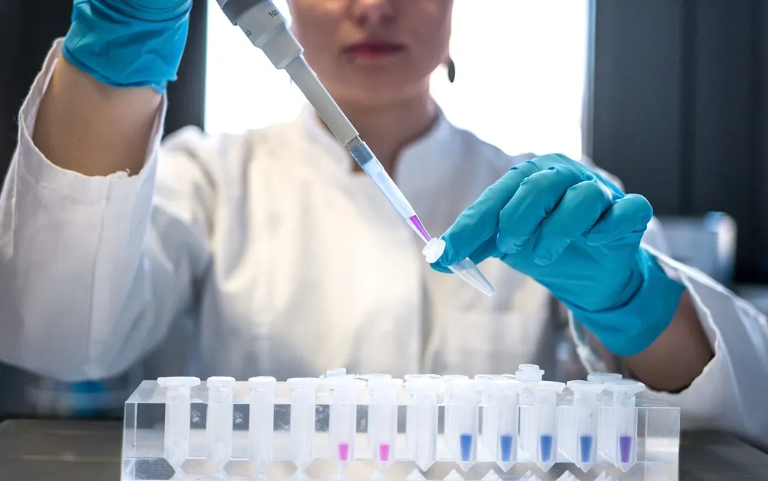 2025年服装服饰行业质量管控新标准与执行要点解析