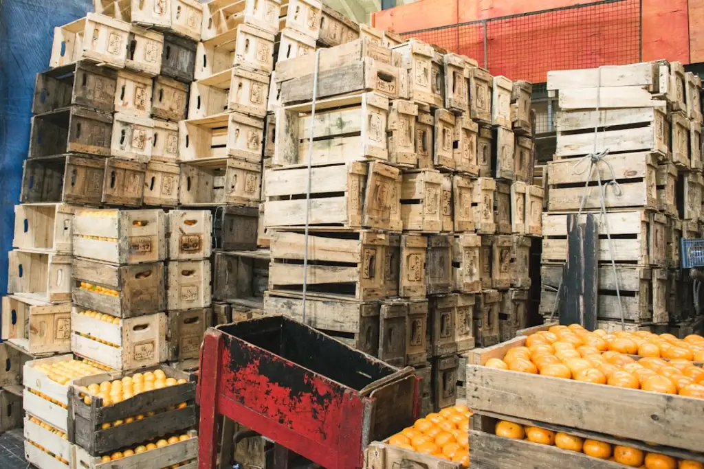 服装服饰与鞋帽箱包品牌折扣采购指南：上海赛领炫贸易产品线解析